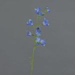 Campanula finta GISELA, blu, 65cm, Ø5cm