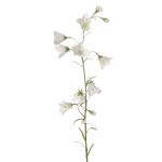 Campanula finta GISELA, bianco, 65cm, Ø5cm