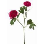 Dekozweig Ranunkel Blumenzweig FLORANCE, dunkelpink, 45cm