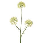Dekozweig Allium ALIKIO, weiß, 65cm, Ø7cm