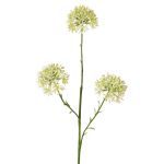 Allium artificiale ALIKIO, bianco, 65 cm, Ø 7 cm