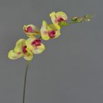 Ramo finto di orchidea Phalaenopsis DAJANA, giallo-fucsia, 80cm, Ø6-11cm