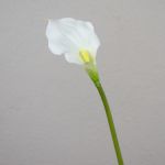 Calla finta PEPITA, bianca, 55cm, 7x11cm