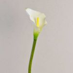 Calla finta SUSANA, bianca, 70cm, 8x12cm