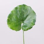 Foglia di geranio sintetica HEIDEGARD, verde, 38cm, Ø13cm