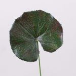 Foglia di geranio sintetica HEIDEGARD, verde-rosso, 38cm, Ø11cm