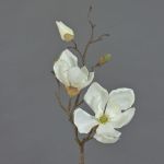 Magnolia decorativa MALBINE, crema, 50cm, Ø6-10cm