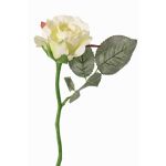 Rosa artificiale ELLI, crema-bianco, 30cm, Ø6,5cm
