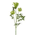 Ramo artificiale di carota selvatica TOLHER, verde, 85cm