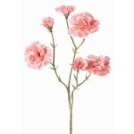 Ramo decorativo di garofano STURYN, rosa chiaro, 55cm, Ø2,5-6cm