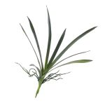 Foglie finte di orchidea Oncidium PAOLA, radice aerea, 25x45cm