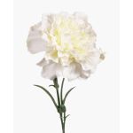 Garofano finto VANERA, bianco, 60cm, Ø8cm