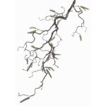 Ramo di nocciolo finto XANCHO con amenti, marrone, 65cm, Ø0,5cm