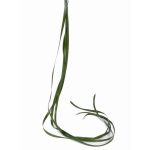 Erba carice finta JURO, verde, 120cm, Ø1cm