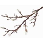 Ramo di magnolia finta ASANI, bianco, 70cm