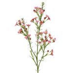 Dekozweig Wachsblume FRINDALS, dunkelrosa, 65cm, Ø1,5-2cm
