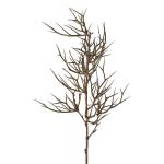Ramo decorativo Spina di Cristo SPROLI, marrone, 70 cm