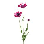 Ramo artificiale di margherita NIELAY, rosso bordeaux, 65cm