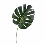 Foglia finta di filodendro Monstera Deliciosa UMBERTO, 55cm