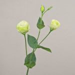 Künstlicher Zweig Lisianthus RINARA, creme-grün, 65cm, Ø4,5-7cm