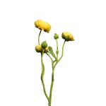 Ramo decorativo di ranuncoli JIXIANG, giallo, 50cm