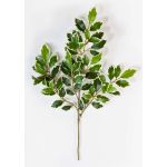 Ramo finto di Ficus Benjamini AJITH, verde-bianco, 45cm