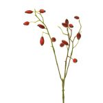 Ramo decorativo di rosa selvatica XINGRUI con cinorrodi, rosso, 45cm