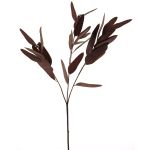 Ramo di eucalipto in plastica YUZIMO con semi, rosso bordeaux, 80 cm