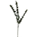 Ramo di eucalipto artificiale XIJIAN, verde, 75 cm