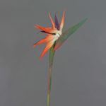 Strelitzia artificiale ZAMIRA, arancione-viola, 95cm, 16x30cm