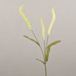 Deko Graszweig Liriope JELIKANTA mit Rispen, creme-grün, 60cm
