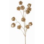 Ramo artificiale di Physalis DUGONG con frutti, dorato, 90cm