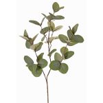 Ramo artificiale di eucalipto EMMENDA, verde, 80cm