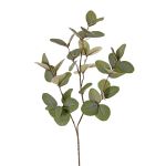 Ramo artificiale di eucalipto EMMENDA, verde, 80 cm