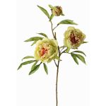 Ramo artificiale di peonia MANJA, verde-fucsia, 70cm, Ø8-10cm