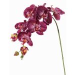 Ramo fiorito artificiale di orchidea Phalaenopsis WESA, viola scuro-bianco, 90cm, Ø11-12,5cm