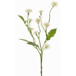 Fiore decorativo Centaurea HOLLA, bianco, 55cm, Ø3-4cm