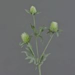 Cardo artificiale SVEA, verde, 40cm, Ø2-3cm