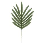 Deko Palmwedel Areca DELUA, 45cm