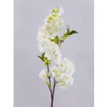 Ramo di fiori di ciliegio artificiale MATSUDA con fiori, bianco crema, 80 cm, Ø 6-11 cm