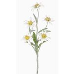 Stella alpina finta SOPHIA, bianca, 40cm, Ø5-6cm