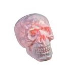 Teschio decorativo di Halloween MORTY con funzione sonora, LED, 30x23cm