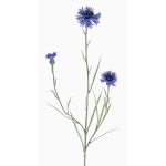 Fiordaliso finto KELSIE, blu, 70cm, Ø4cm