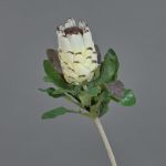 Protea artificiale NELLI, bianco-giallo, 75cm, Ø8cm