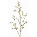 Fiore di cera artificiale NIANG, crema, 80cm, Ø1,5-2,5cm