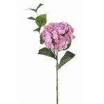 Ortensia finta ASUKA, lilla, 80cm, Ø15cm
