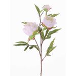 Ramo di peonia artificiale MANJA, bianco, 70cm, Ø8-10cm