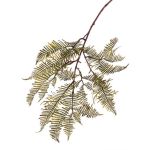 Ramo di felce di Boston in plastica KENNET, verde, 90cm