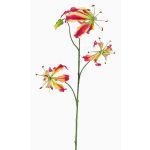 Gloriosa finta TIANA, fucsia-verde, 80cm, Ø8-15cm