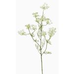 Ramo artificiale di aneto WINCENT con fiori, bianco-verde, 80cm